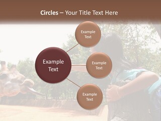 Girl Feeding A Giraffe PowerPoint Template