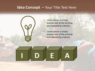 Girl Feeding A Giraffe PowerPoint Template