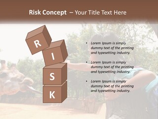 Girl Feeding A Giraffe PowerPoint Template