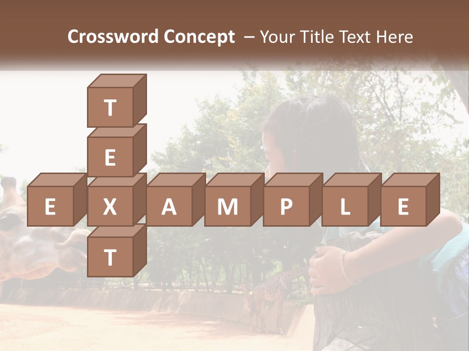 Girl Feeding A Giraffe PowerPoint Template