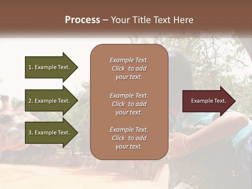 Girl Feeding A Giraffe PowerPoint Template