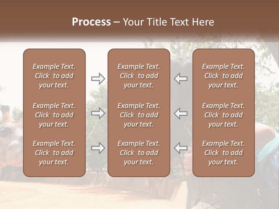 Girl Feeding A Giraffe PowerPoint Template