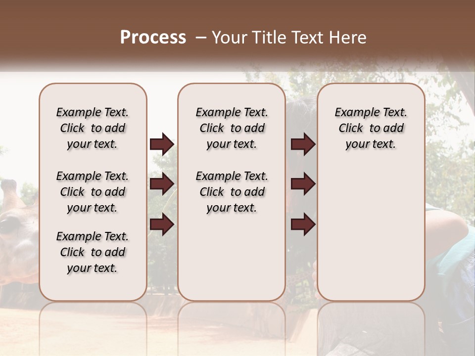 Girl Feeding A Giraffe PowerPoint Template