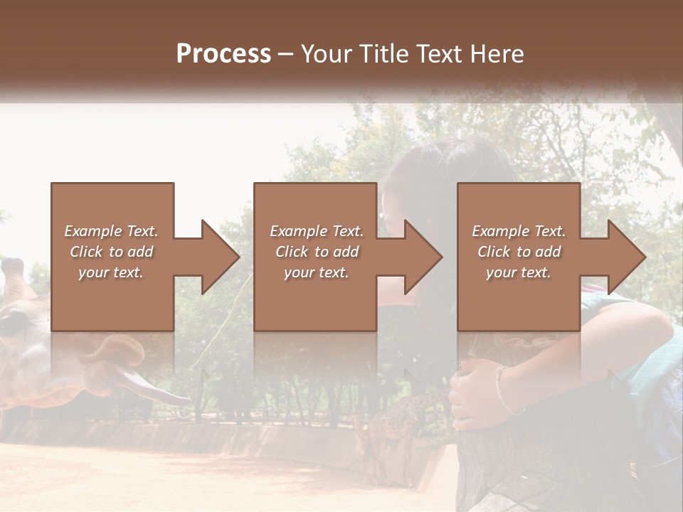 Girl Feeding A Giraffe PowerPoint Template