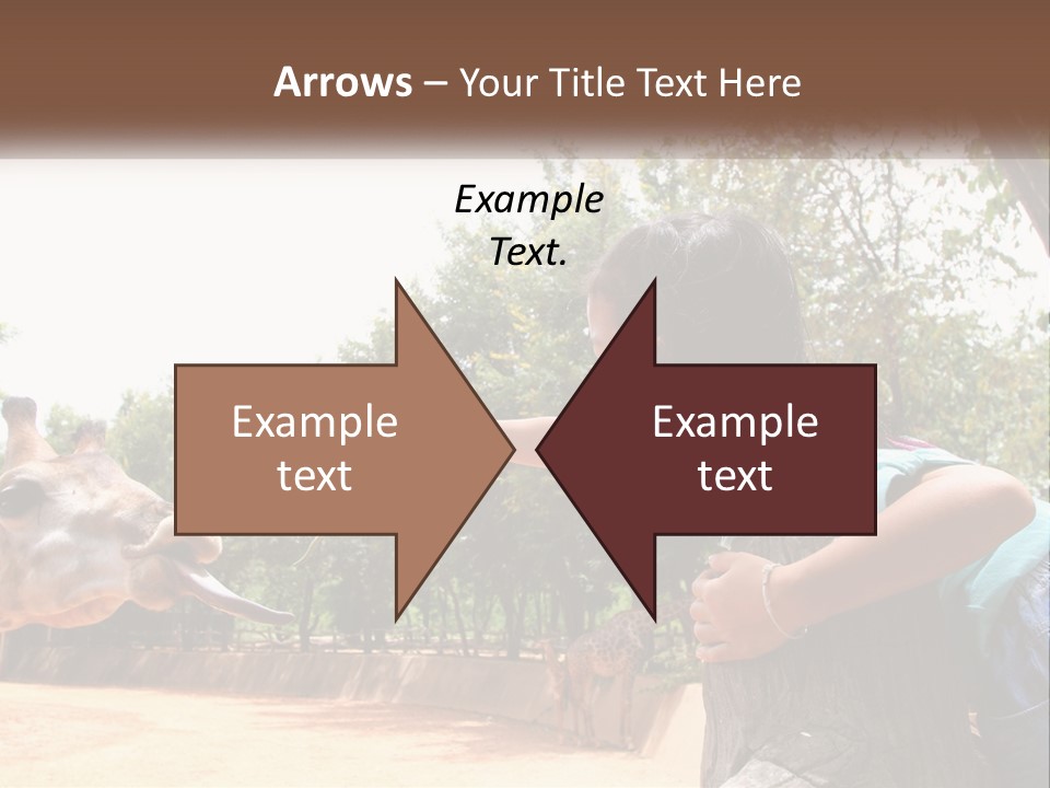 Girl Feeding A Giraffe PowerPoint Template