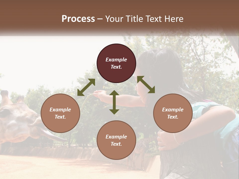 Girl Feeding A Giraffe PowerPoint Template