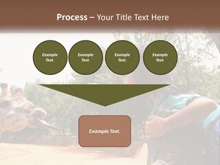 Girl Feeding A Giraffe PowerPoint Template