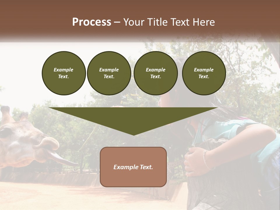 Girl Feeding A Giraffe PowerPoint Template