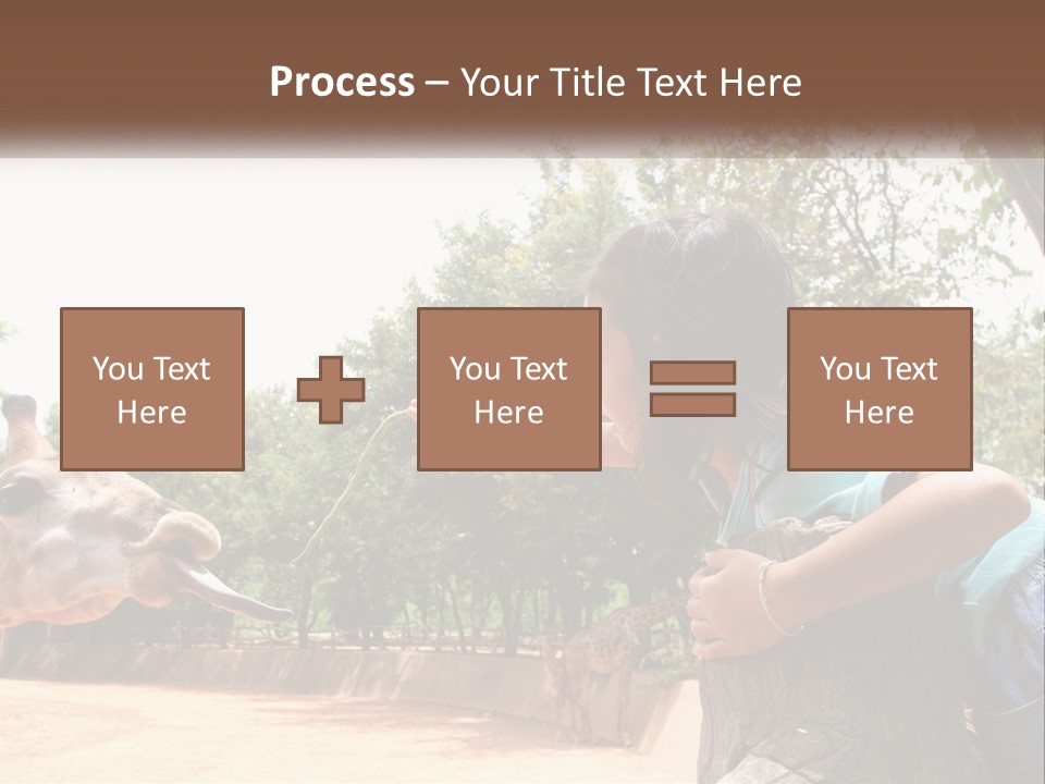 Girl Feeding A Giraffe PowerPoint Template