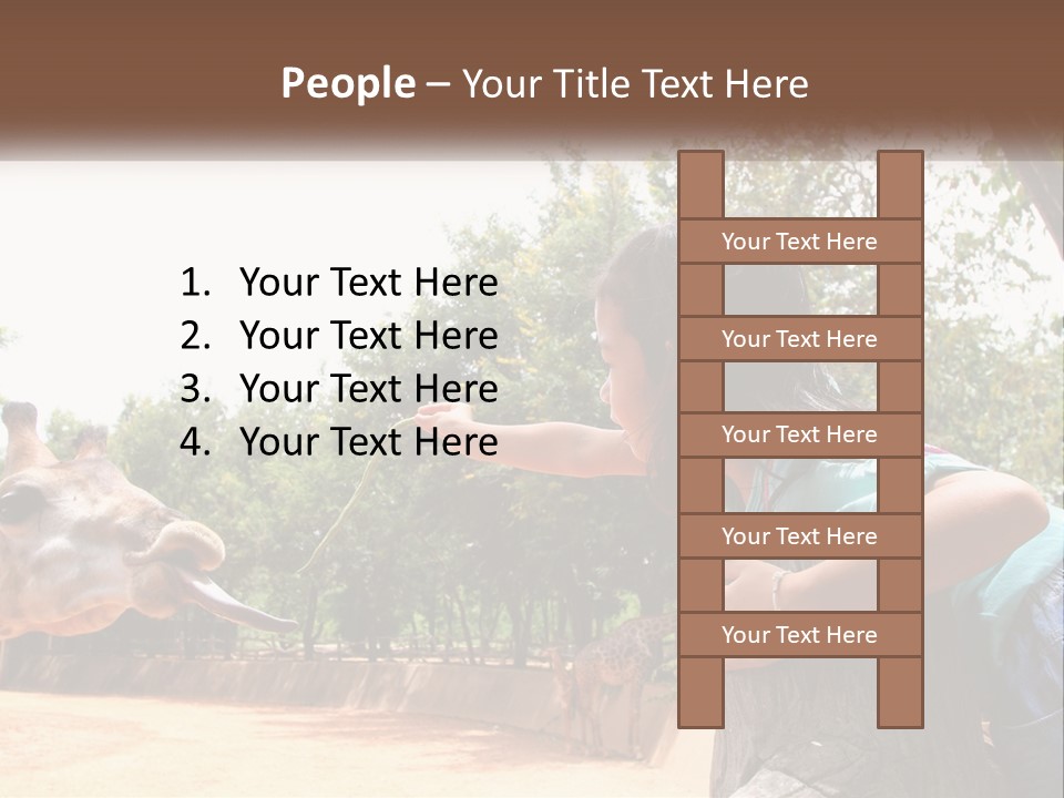 Girl Feeding A Giraffe PowerPoint Template