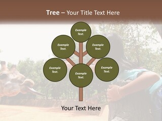 Girl Feeding A Giraffe PowerPoint Template