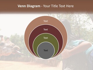 Girl Feeding A Giraffe PowerPoint Template