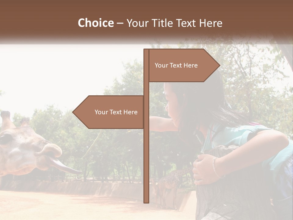 Girl Feeding A Giraffe PowerPoint Template