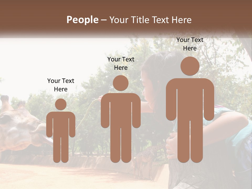 Girl Feeding A Giraffe PowerPoint Template