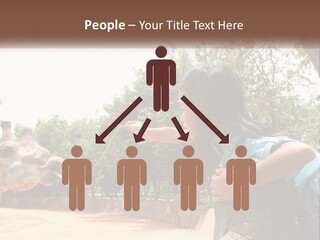 Girl Feeding A Giraffe PowerPoint Template