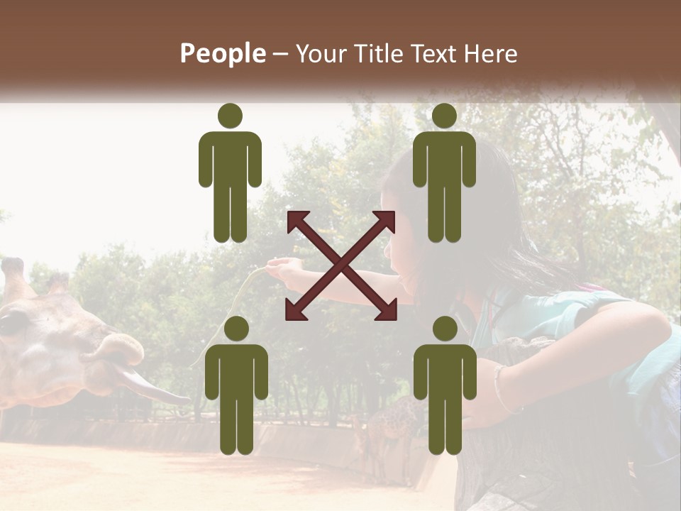 Girl Feeding A Giraffe PowerPoint Template