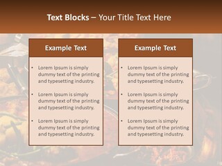 Soup Casserole PowerPoint Template