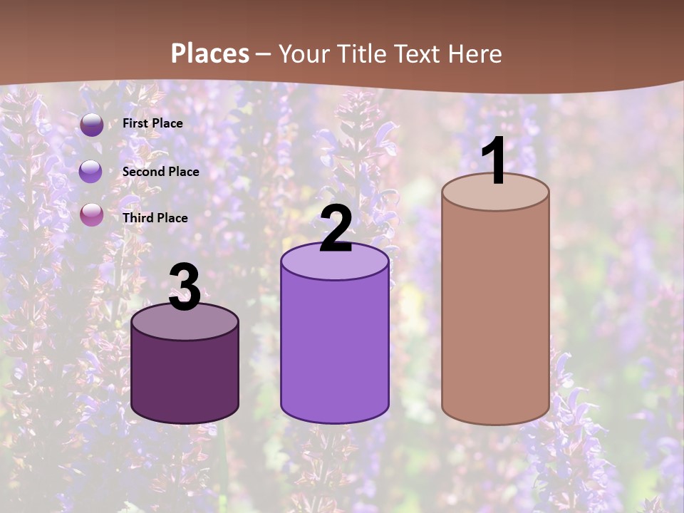 Lavender - Flowering Season PowerPoint Template
