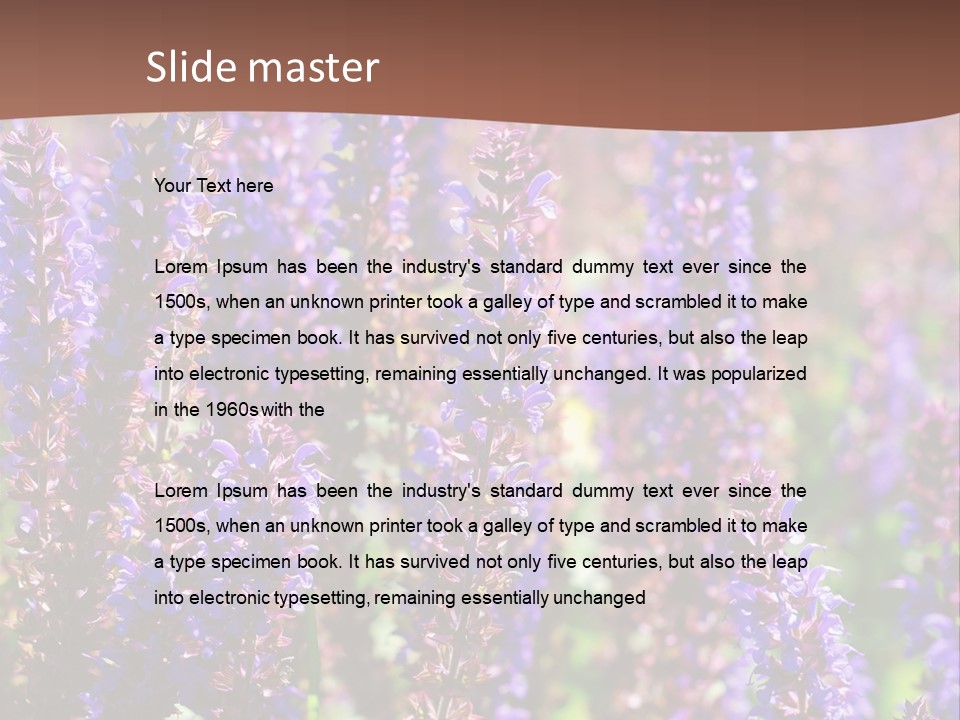 Lavender - Flowering Season PowerPoint Template