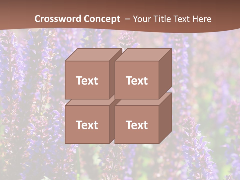 Lavender - Flowering Season PowerPoint Template