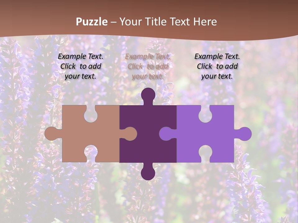 Lavender - Flowering Season PowerPoint Template