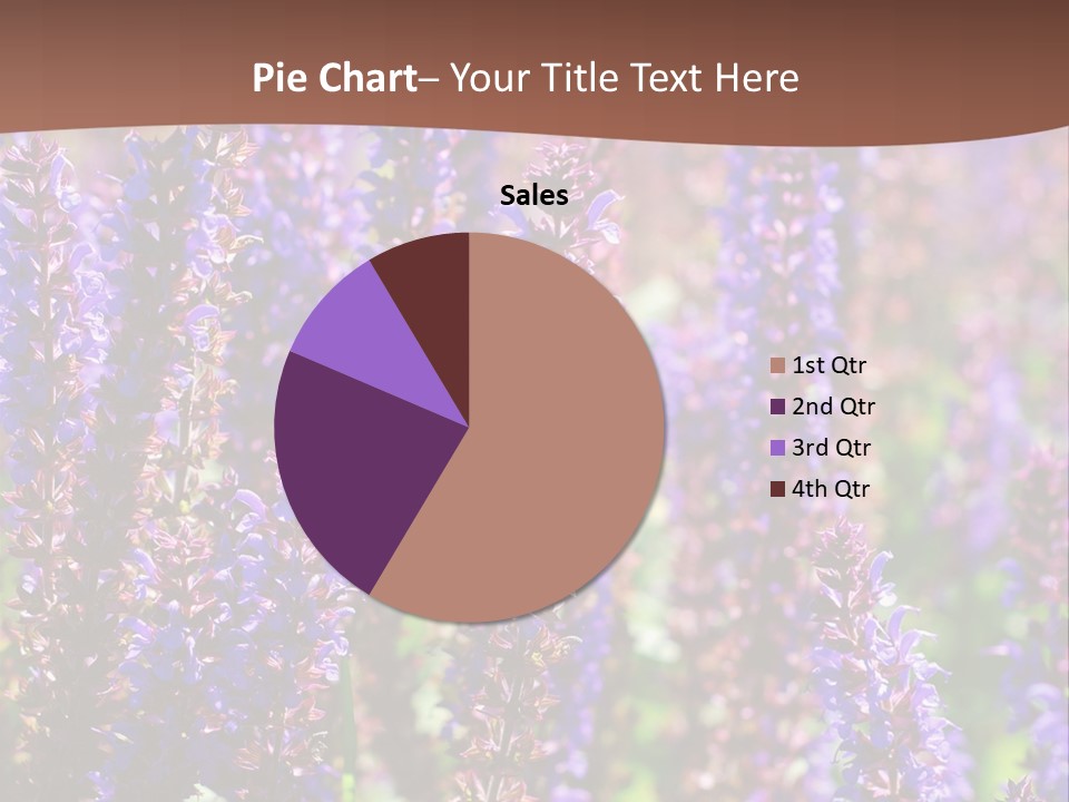 Lavender - Flowering Season PowerPoint Template