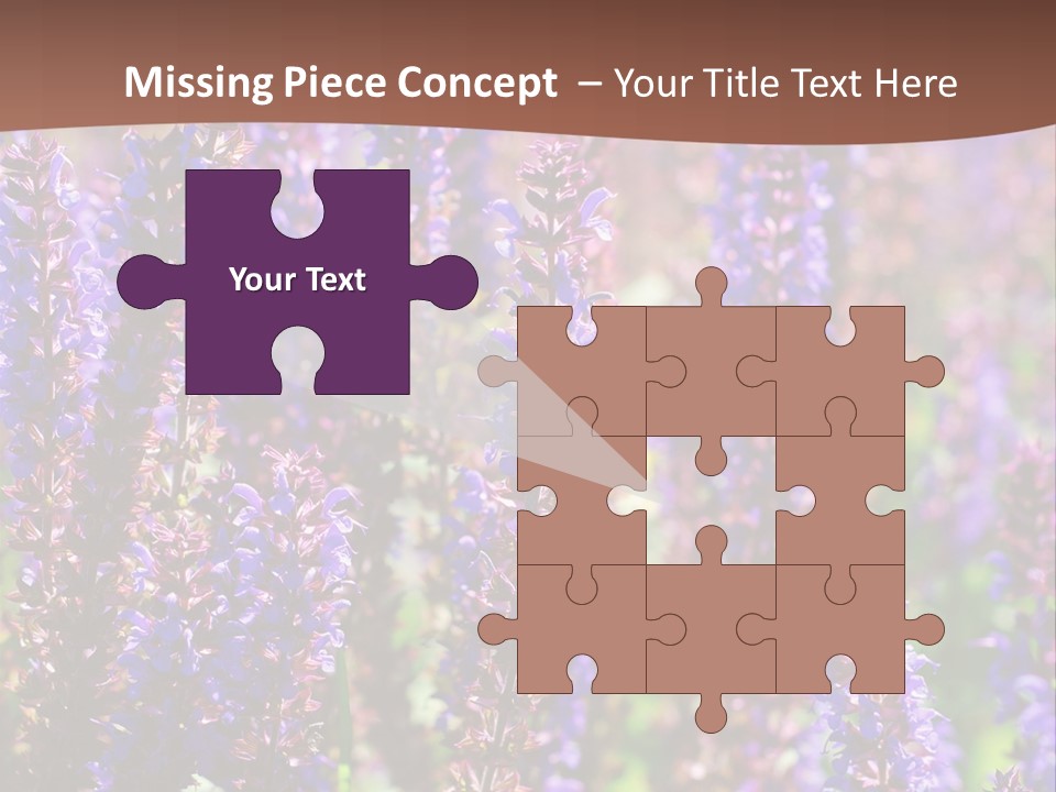 Lavender - Flowering Season PowerPoint Template