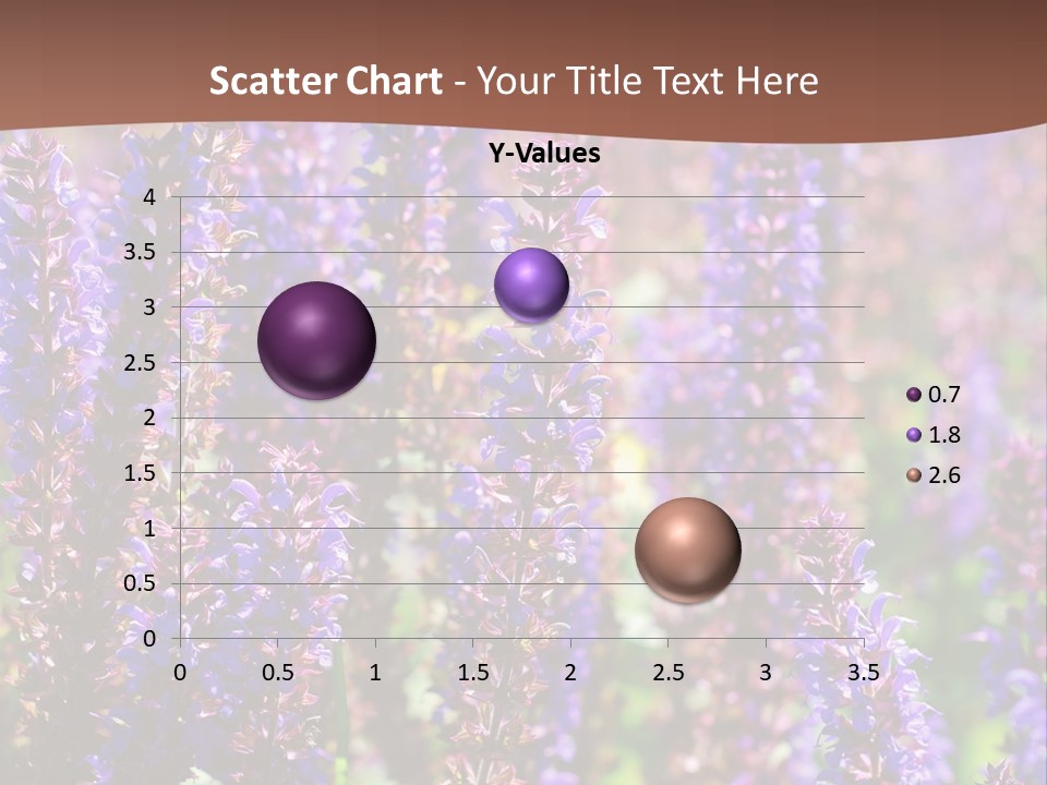 Lavender - Flowering Season PowerPoint Template
