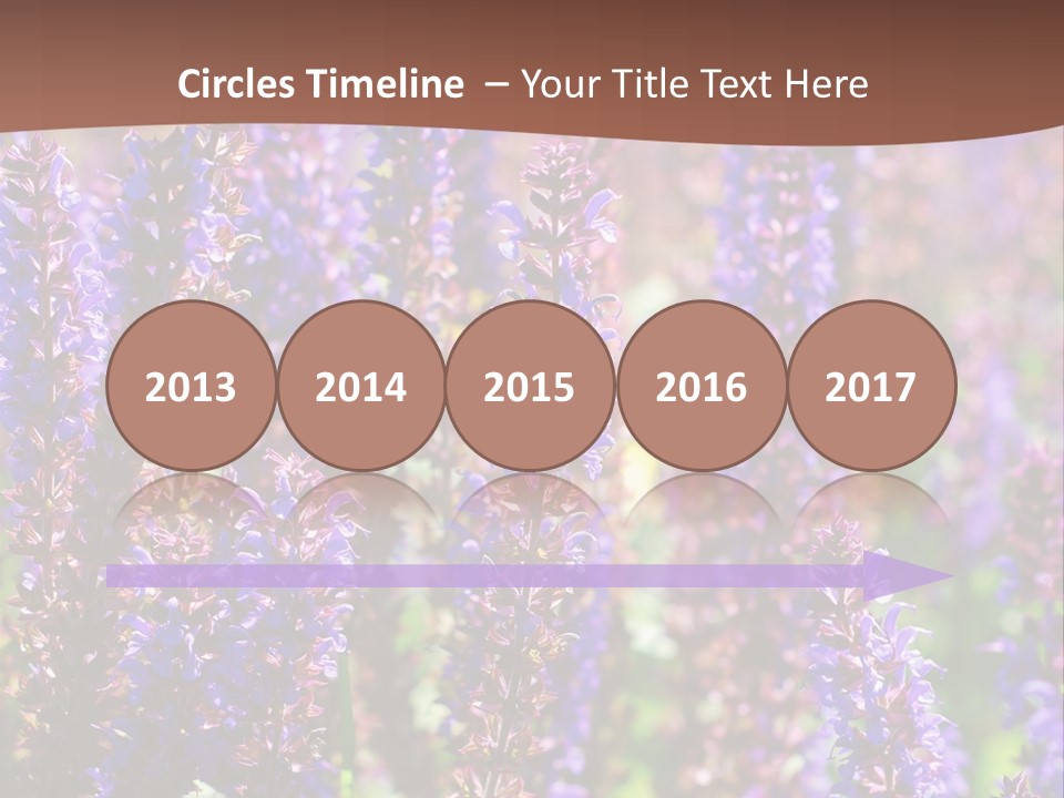 Lavender - Flowering Season PowerPoint Template
