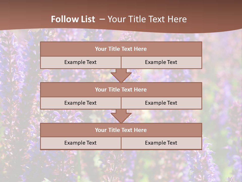 Lavender - Flowering Season PowerPoint Template