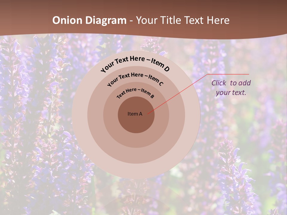 Lavender - Flowering Season PowerPoint Template