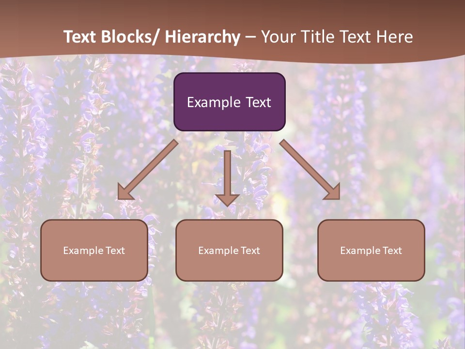 Lavender - Flowering Season PowerPoint Template