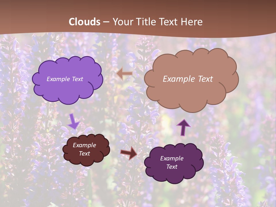 Lavender - Flowering Season PowerPoint Template