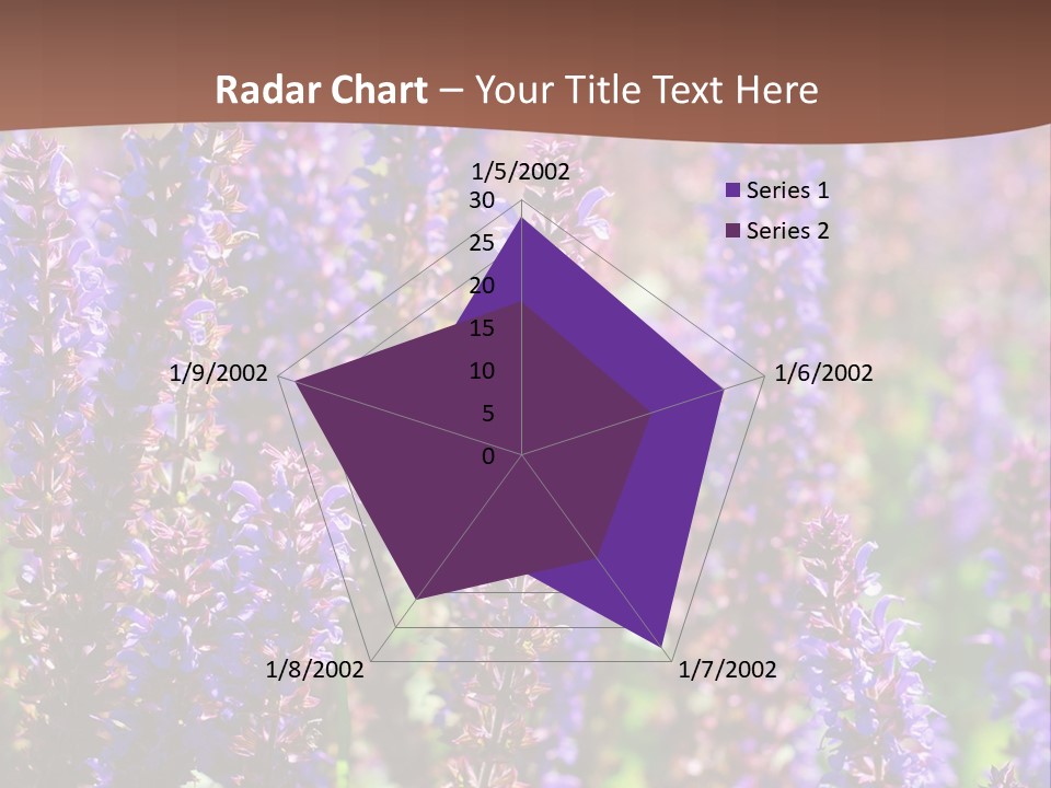 Lavender - Flowering Season PowerPoint Template
