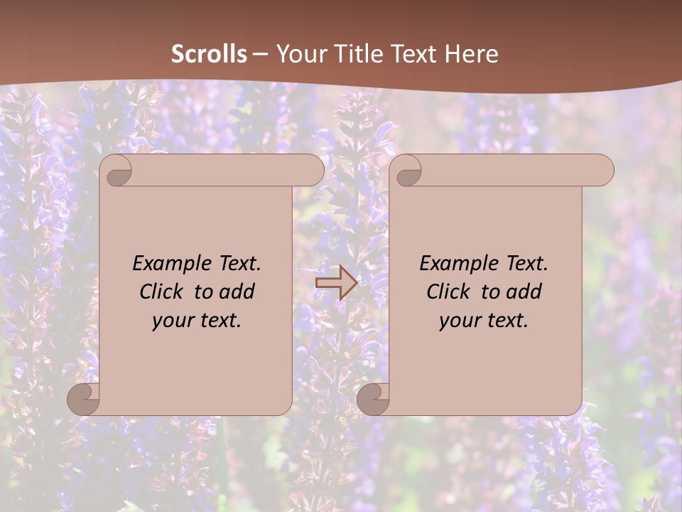 Lavender - Flowering Season PowerPoint Template