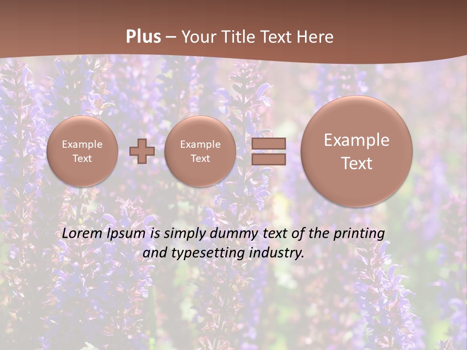 Lavender - Flowering Season PowerPoint Template