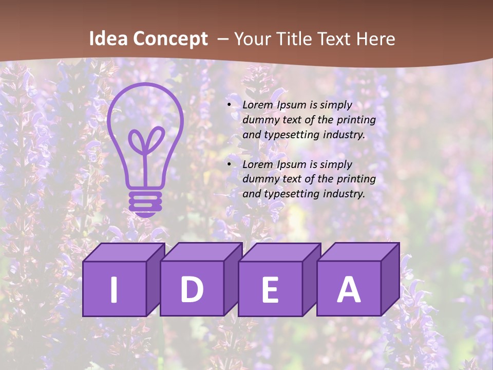Lavender - Flowering Season PowerPoint Template