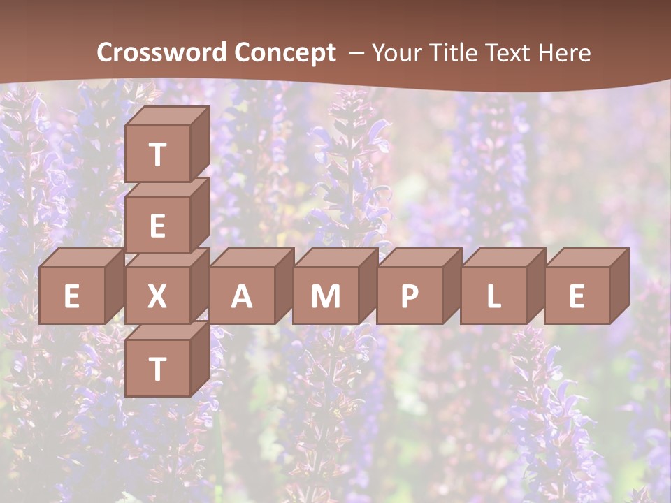 Lavender - Flowering Season PowerPoint Template