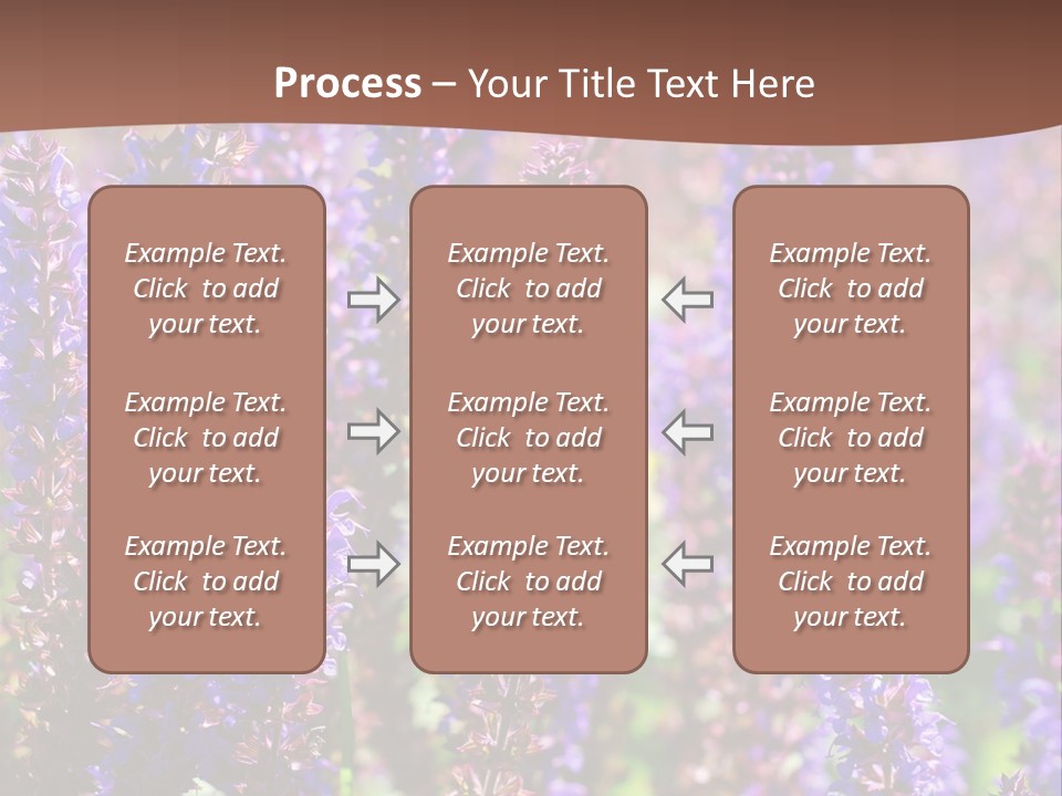 Lavender - Flowering Season PowerPoint Template