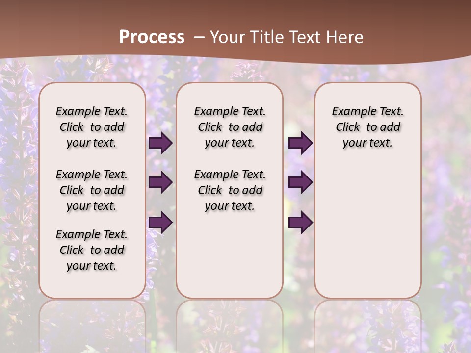 Lavender - Flowering Season PowerPoint Template