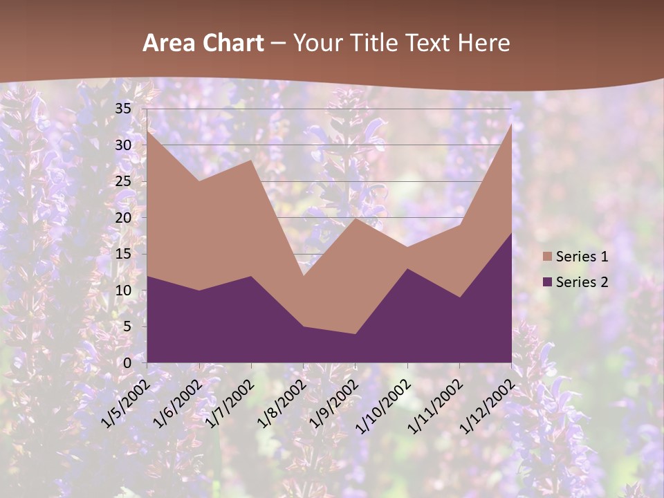 Lavender - Flowering Season PowerPoint Template
