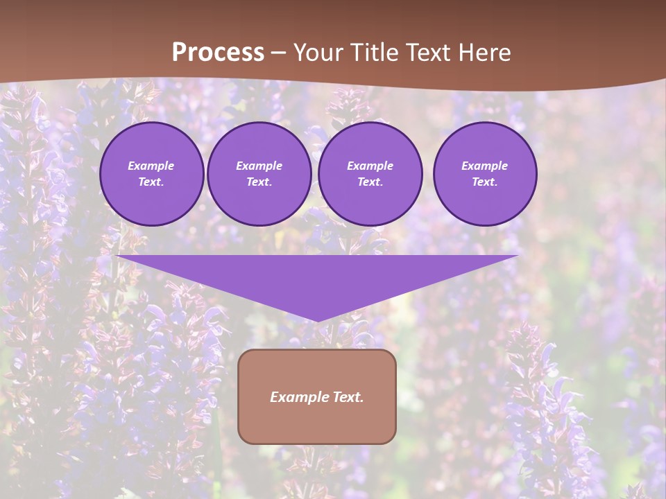 Lavender - Flowering Season PowerPoint Template
