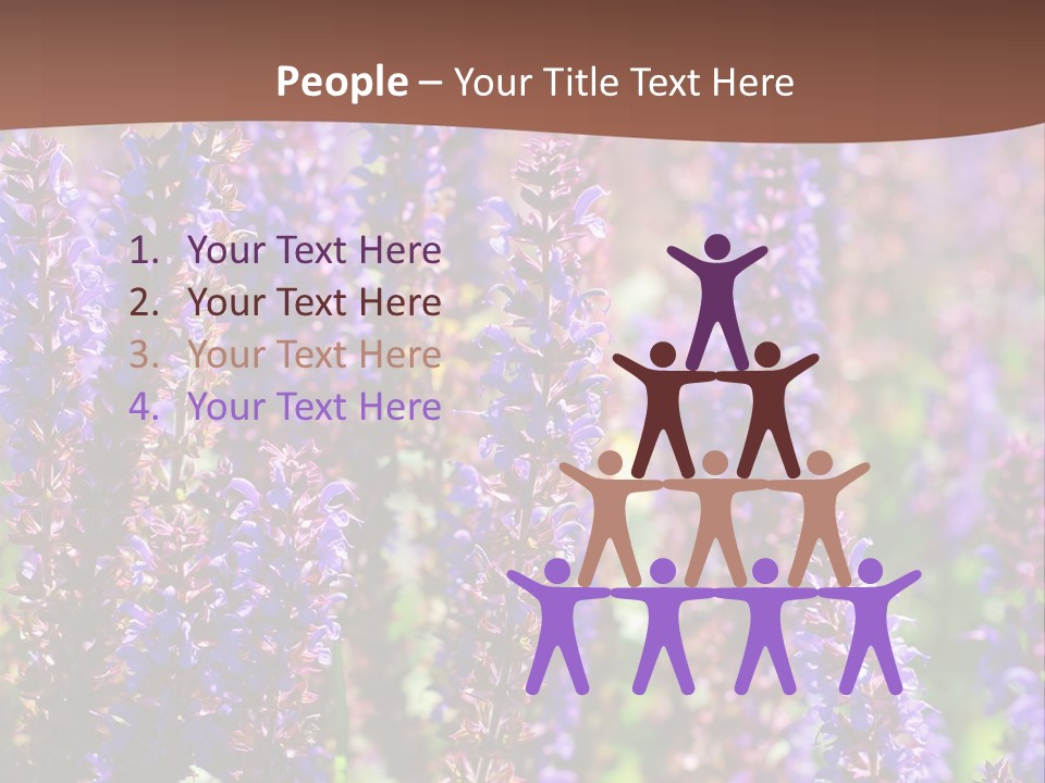 Lavender - Flowering Season PowerPoint Template