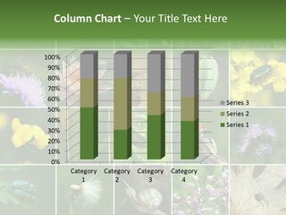 Our Nature Is Diverse PowerPoint Template