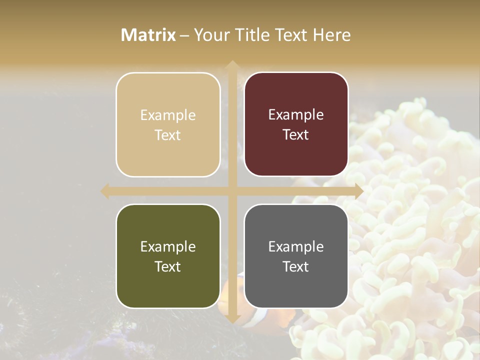 The Fish Is Hiding In Corals PowerPoint Template