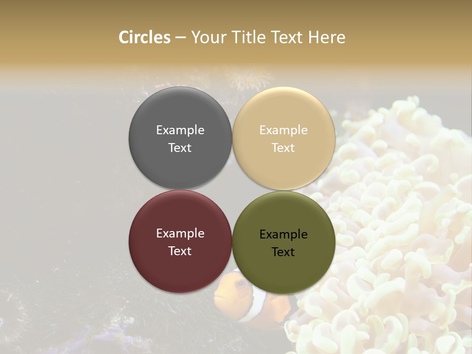 The Fish Is Hiding In Corals PowerPoint Template