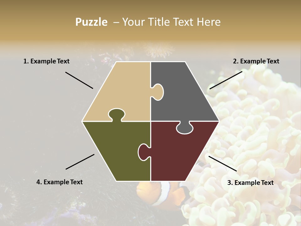 The Fish Is Hiding In Corals PowerPoint Template