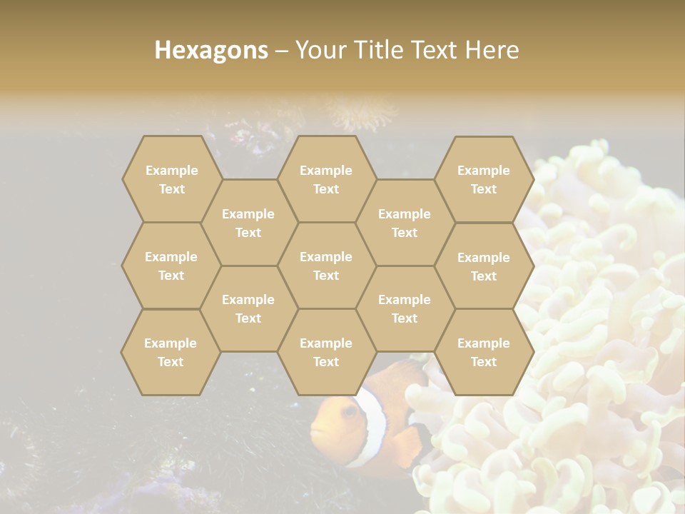 The Fish Is Hiding In Corals PowerPoint Template