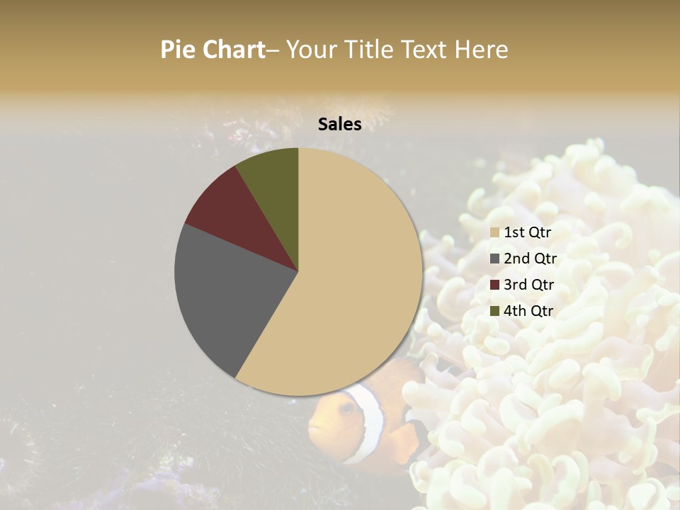 The Fish Is Hiding In Corals PowerPoint Template