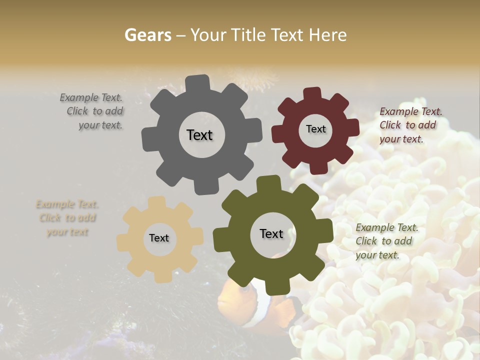 The Fish Is Hiding In Corals PowerPoint Template